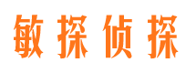 班戈敏探私家侦探公司